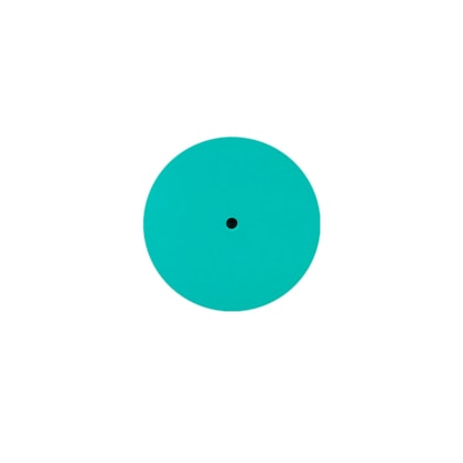 Disco de Pedicure em Polímero Staleks com 5 refis -20 MM- PPDSET-20