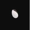 Lixa Refil para Disco de Pedicure Staleks, Grão 80 (50 un)- PDF25-80-5807964a-e183-4513-9e2b-c2f83c5eecad