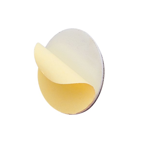 Lixa Refil Soft para Disco de Pedicure Staleks Pro com Espuma fina, Grão 240 (50 un) - PDFS-25-240-95e35ef0-6133-403a-90cb-8758980a8e01