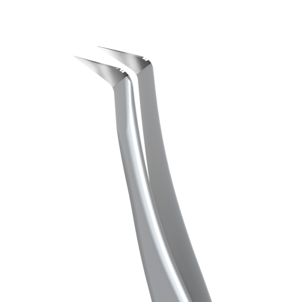 Pinça para Cílios Staleks - TE-40-12 - Série Expert 40-89f85178-97ad-4e61-8221-95be20a69811