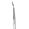 Tesoura de Unhas Staleks - SC-61-2 - Série Classic 61 - Lâmina Curva-c47f0946-5703-4ced-b742-eaf2c51e616e